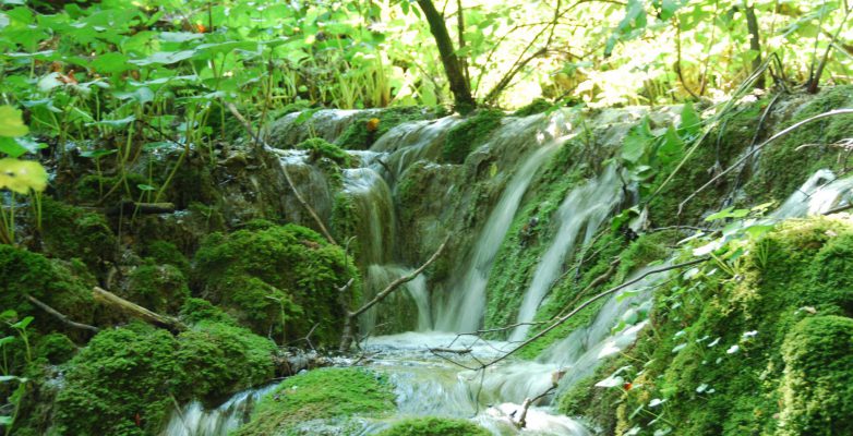plitvicer-see_20180820_110818