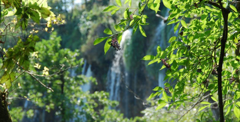 plitvicer-see_20180820_120922